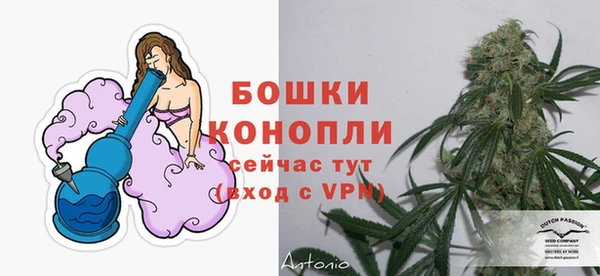 спайс Каменка