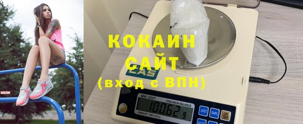 спайс Каменка