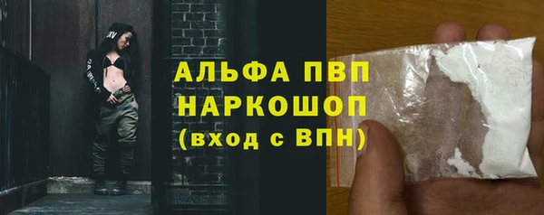 стаф Каменногорск
