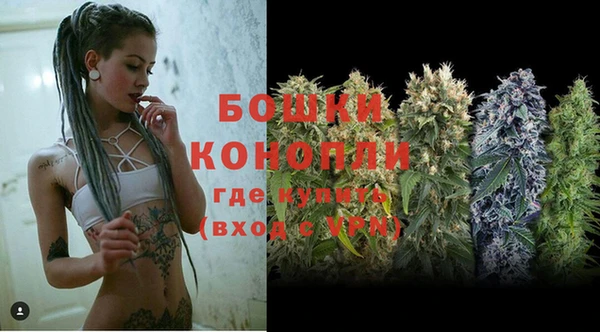 спайс Каменка