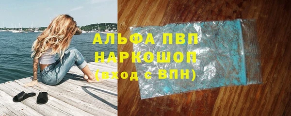 спайс Каменка