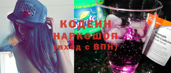 стаф Каменногорск