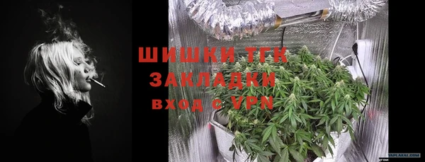 спайс Каменка