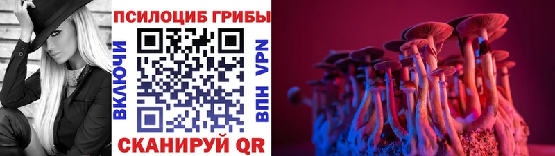 Галлюциногенные грибы Magic Shrooms Свободный
